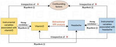 New evidence that vitamin D prevents headache: a bidirectional two-sample Mendelian randomization analysis